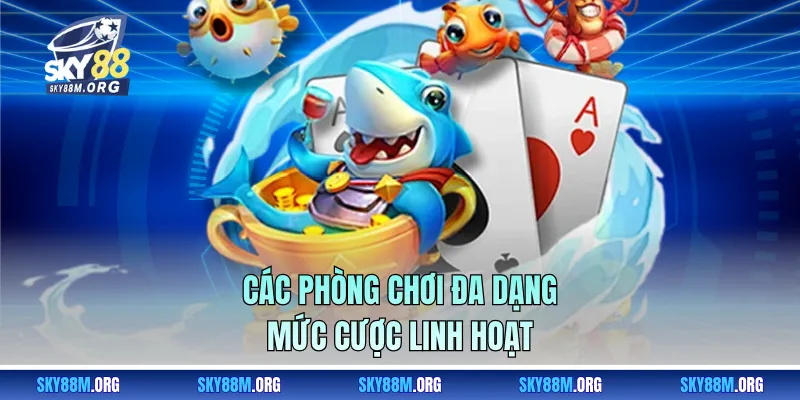  Các phòng chơi đa dạng, mức cược linh hoạt 